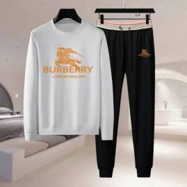 Picture of Burberry SweatSuits _SKUBurberryM-4XL11Ln4927456